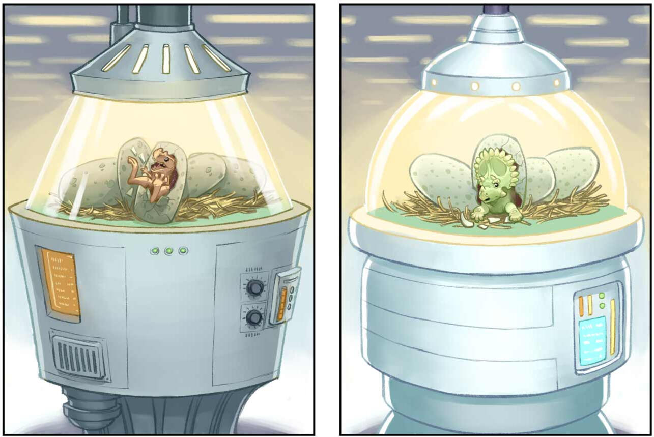 Incubators Incubators