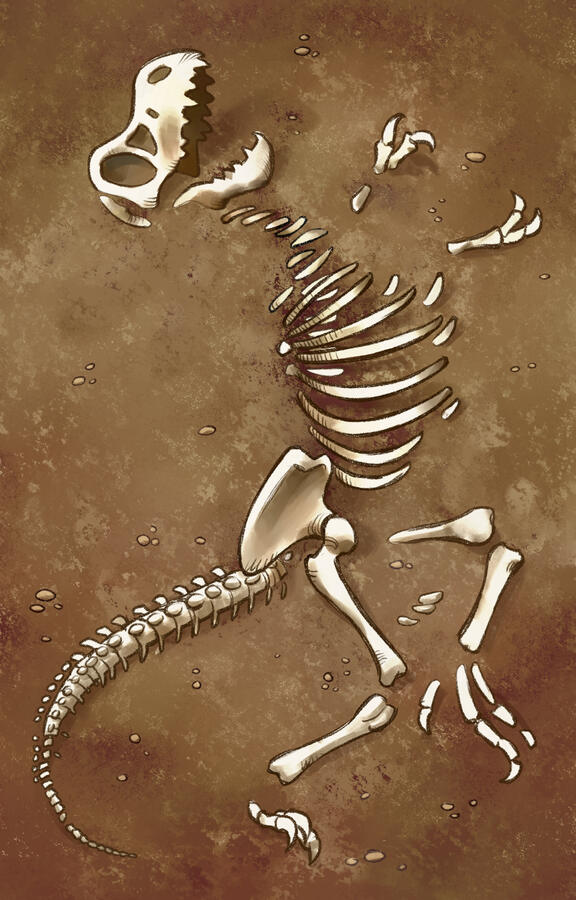 Concept Card Back Concept Card Back